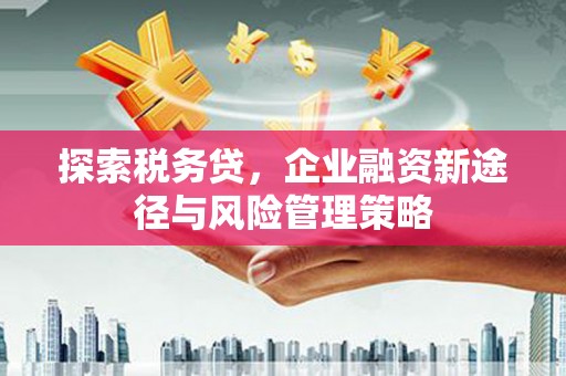 卓尼探索税务贷，企业融资新途径与风险管理策略
