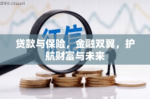 卓尼贷款与保险，金融双翼，护航财富与未来