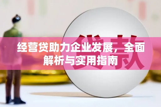 卓尼经营贷助力企业发展，全面解析与实用指南