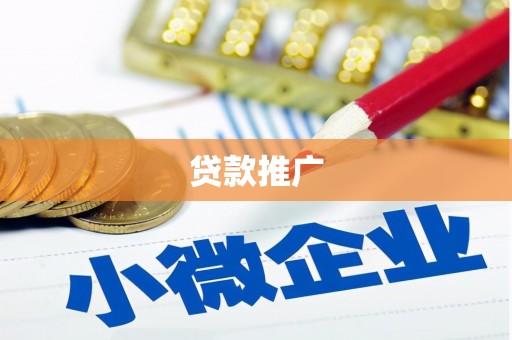 卓尼贷款推广