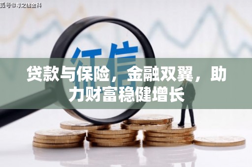 卓尼贷款与保险，金融双翼，助力财富稳健增长