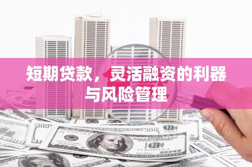 卓尼短期贷款，灵活融资的利器与风险管理