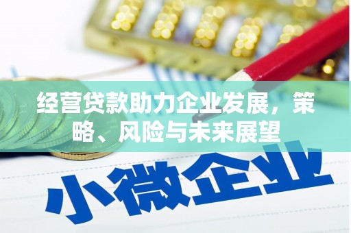 卓尼经营贷款助力企业发展，策略、风险与未来展望