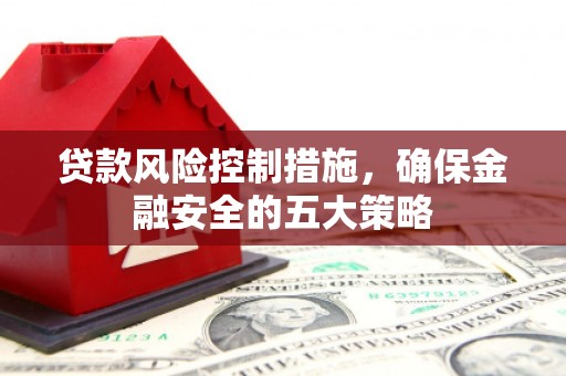 卓尼贷款风险控制措施，确保金融安全的五大策略
