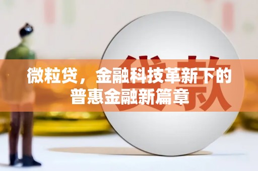 卓尼微粒贷，金融科技革新下的普惠金融新篇章