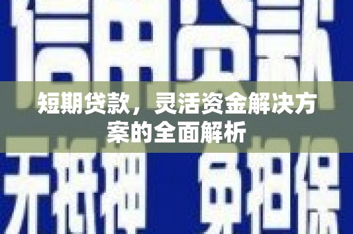 卓尼短期贷款，灵活资金解决方案的全面解析