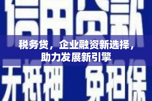 卓尼税务贷，企业融资新选择，助力发展新引擎