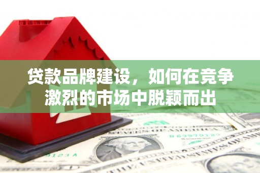 卓尼贷款品牌建设，如何在竞争激烈的市场中脱颖而出