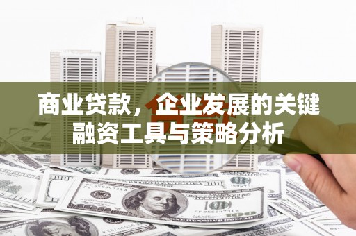 卓尼商业贷款，企业发展的关键融资工具与策略分析