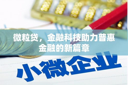 卓尼微粒贷，金融科技助力普惠金融的新篇章