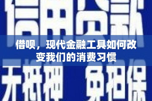 卓尼借呗，现代金融工具如何改变我们的消费习惯