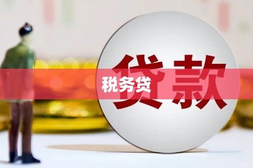 卓尼税务贷