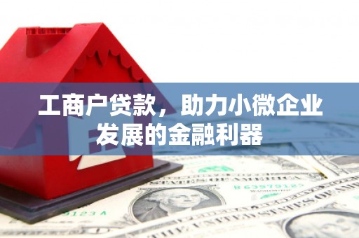 卓尼工商户贷款，助力小微企业发展的金融利器