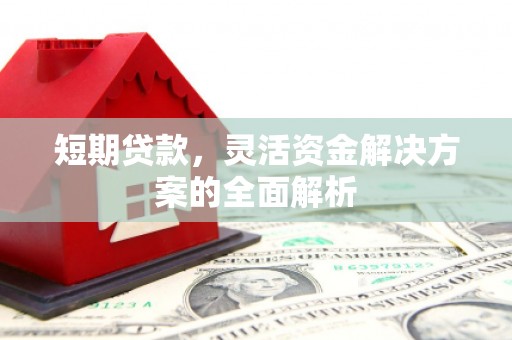 卓尼短期贷款，灵活资金解决方案的全面解析