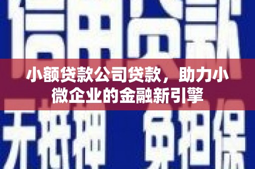 卓尼小额贷款公司贷款，助力小微企业的金融新引擎