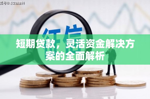 卓尼短期贷款，灵活资金解决方案的全面解析