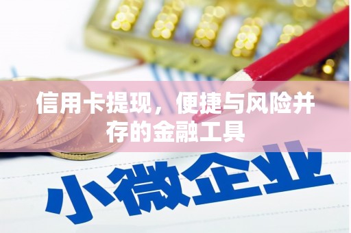 卓尼信用卡提现，便捷与风险并存的金融工具