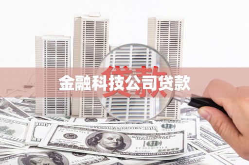卓尼金融科技公司贷款
