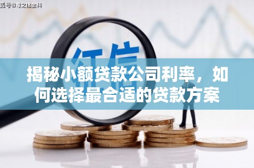 卓尼揭秘小额贷款公司利率，如何选择最合适的贷款方案