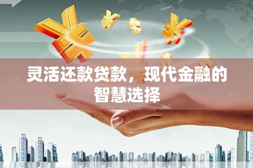 卓尼灵活还款贷款，现代金融的智慧选择