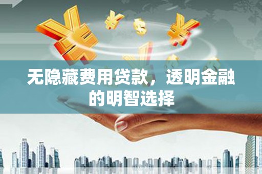 卓尼无隐藏费用贷款，透明金融的明智选择