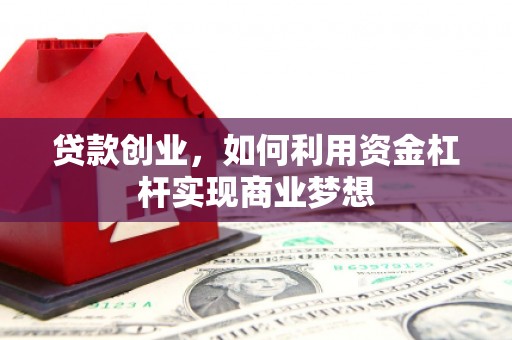 卓尼贷款创业，如何利用资金杠杆实现商业梦想