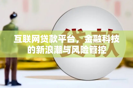 卓尼互联网贷款平台，金融科技的新浪潮与风险管控