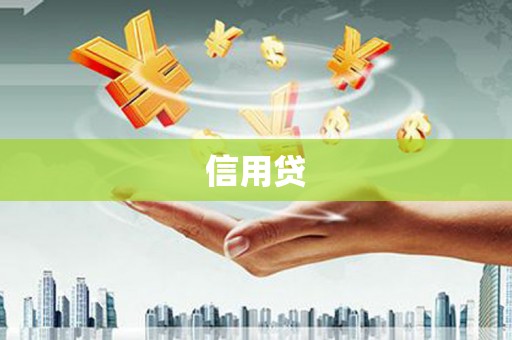 卓尼信用贷