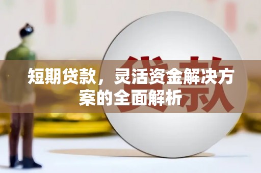 卓尼短期贷款，灵活资金解决方案的全面解析