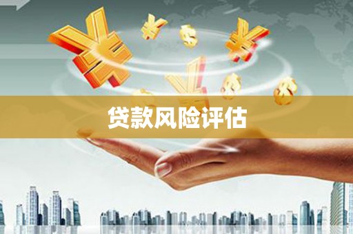 卓尼贷款风险评估