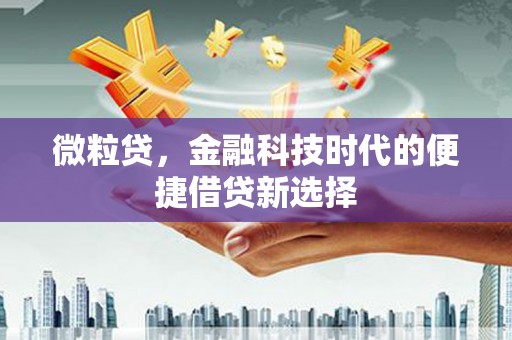 卓尼微粒贷，金融科技时代的便捷借贷新选择
