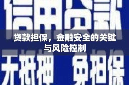 卓尼贷款担保，金融安全的关键与风险控制