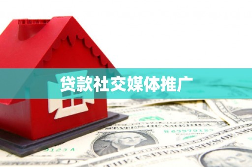 卓尼贷款社交媒体推广