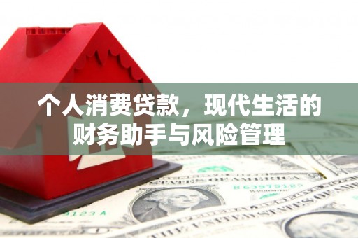 卓尼个人消费贷款，现代生活的财务助手与风险管理