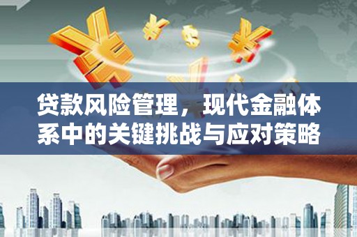卓尼贷款风险管理，现代金融体系中的关键挑战与应对策略