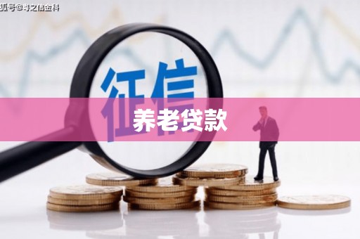 卓尼养老贷款