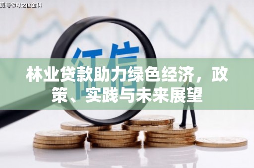 卓尼林业贷款助力绿色经济，政策、实践与未来展望