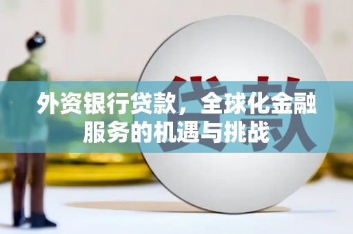 卓尼外资银行贷款，全球化金融服务的机遇与挑战