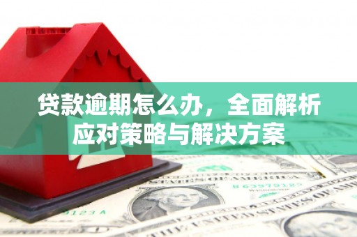 卓尼贷款逾期怎么办，全面解析应对策略与解决方案