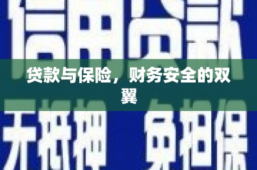 卓尼贷款与保险，财务安全的双翼