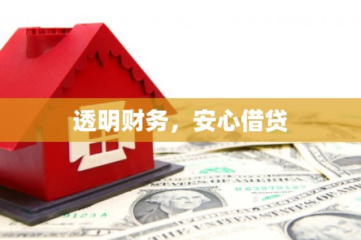卓尼透明财务，安心借贷