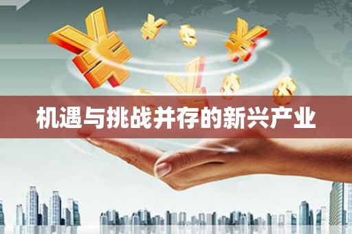 卓尼机遇与挑战并存的新兴产业