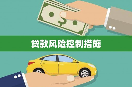 卓尼贷款风险控制措施
