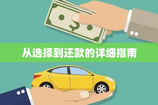 卓尼从选择到还款的详细指南