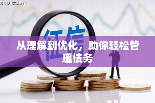 卓尼从理解到优化，助你轻松管理债务