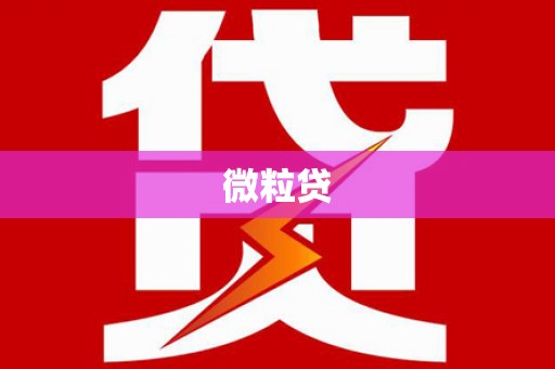 卓尼微粒贷