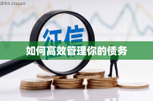 卓尼如何高效管理你的债务