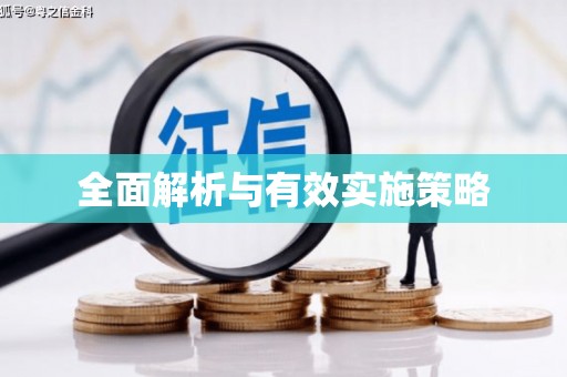 卓尼全面解析与有效实施策略