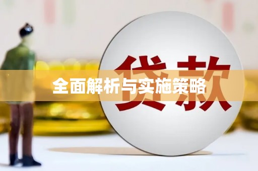卓尼全面解析与实施策略