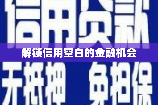 卓尼解锁信用空白的金融机会